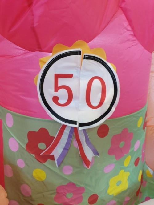 Indoor Sarah Rollator 2,3m